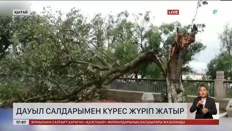 Филиппин аралдарында «Випха» дауылынан 5 адам қаза тапты