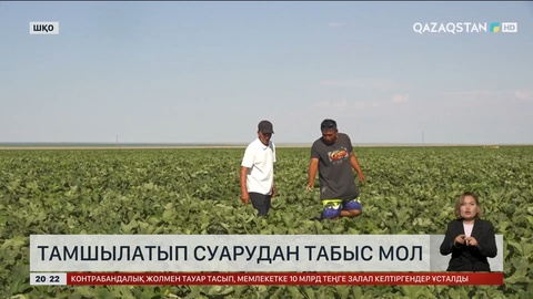 ШҚО-да шаруалар су тапшылығынан жерді толық иегере алмай отыр