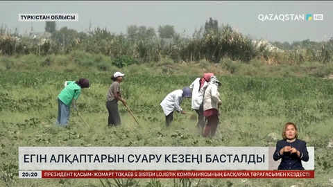 Елімізде егін алқаптарын суару кезеңі басталды