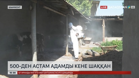 Шымкентте 500-ден астам адамды кене шаққан