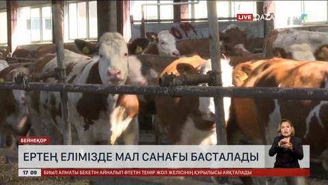 Ертең елімізде мал санағы басталады