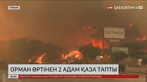 Түркияда орман өртінен 2 адам қаза тапты