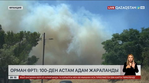 Франциядағы орман өрті: 100-ден астам адам жараланды