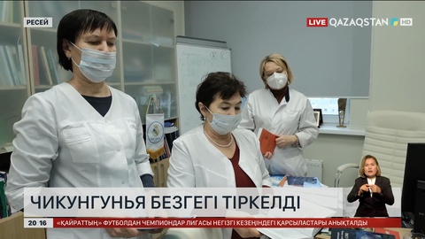 Ресейде чикунгунья безгегі тіркелді