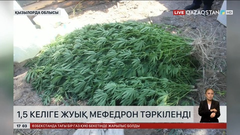 Қызылордада 1,5 келіге жуық мефедрон тәркіленді