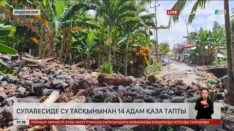 Индонезияда су тасқынынан 14 адам қаза тапты