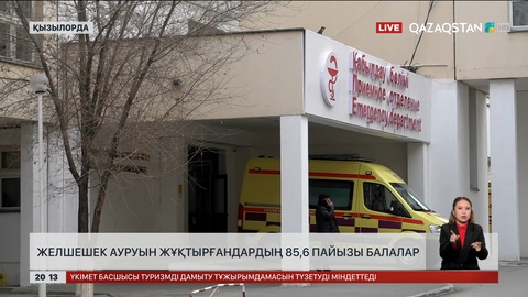  Қызылорда облысында желшешек ауруын жұқтырғандардың 85,6 пайызы балалар