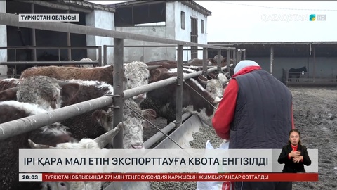  Ірі қара мал етін экспорттауға квота енгізілді