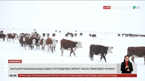 Қойшылар үшін зейнет жасы төмендеуі мүмкін