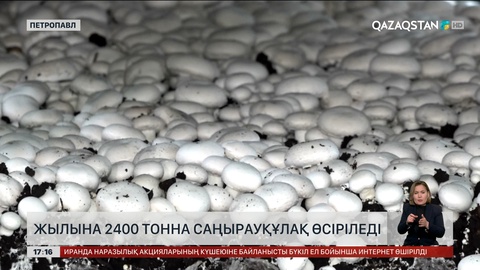 Кәсіпкерлерге салық реформасы түсіндірілді