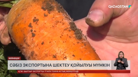  Елімізде сәбіз экспортына шектеу қойылуы мүмкін