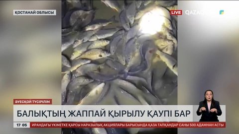 Торғай өзенінің балығы қырылуы мүмкін