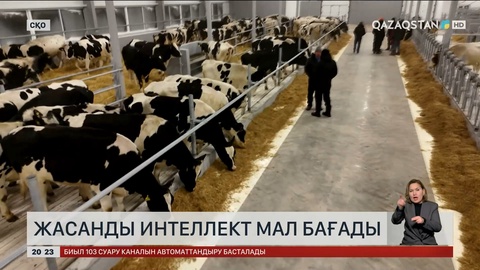  Жасанды интеллект мал бағады