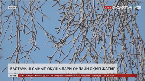 ШҚО-да бастауыш сынып оқушылары онлайн оқып жатыр