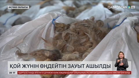  Ақтөбеде қой жүнін өңдейтін зауыт ашылды