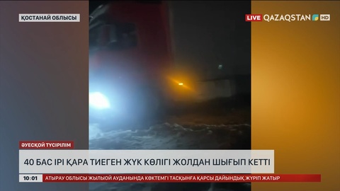  Қостанай облысында 40 бас ірі қара тиеген жүк көлігі жолдан шығып кетті