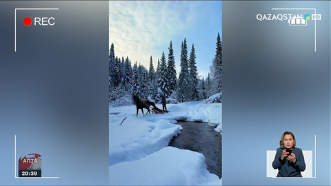 ШҚО-дағы Шанағаты ауылында ауа температурасы – 56 градусты көрсетті