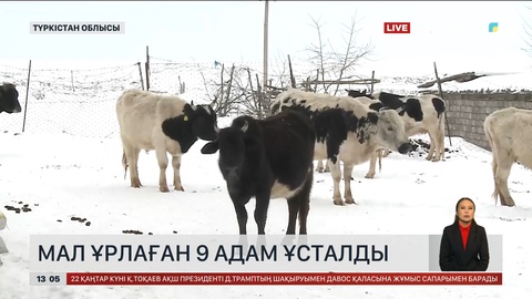 Түркістан облысында 9 ұры ұсталды