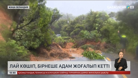Жаңа Зеландияда лай көшіп, біраз адам жоғалып кетті