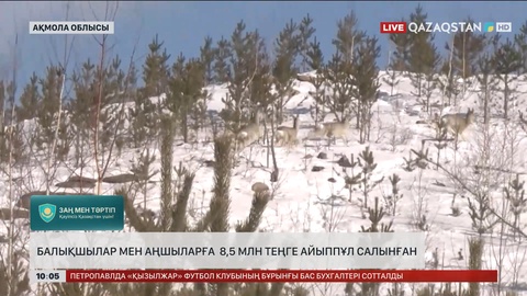 Ақмола облысында балықшылар мен аңшыларға  8,5 млн теңге айыппұл салынған