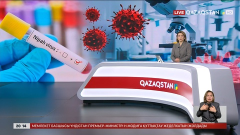  Қазақстанда нипах вирусын жұқтырғандар жоқ
