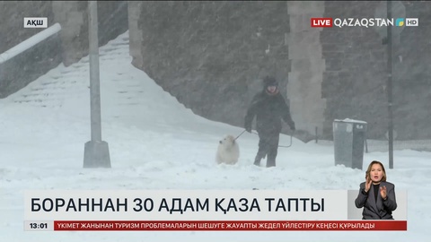 АҚШ-та бораннан 30 адам қайтыс болды