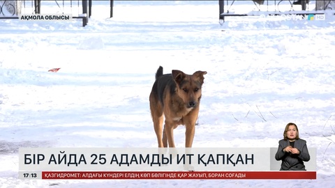 Ақмола облысында 2,5 мың адамды ит қауып алған