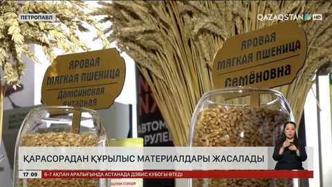 Құрылыс материалдарын қарасорадан жасап көрмек