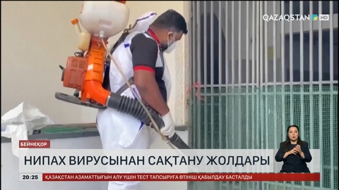 «Нипах» вирусынан сақтану жолдары