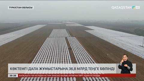 Түркістан облысында көктемгі дала жұмыстарына 36,8 млрд теңге бөлінді 