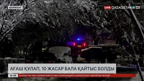 Шымкентте ағаш құлап, 10 жастағы бала қайтыс болды