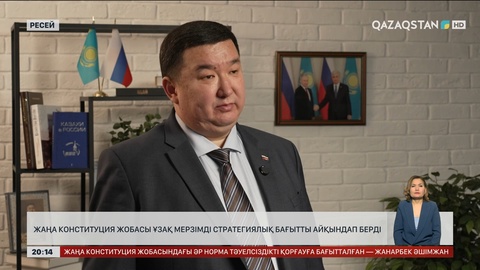 Жаңа Конституция жобасы ұзақ мерзімді стратегиялық бағытты айқындап берді