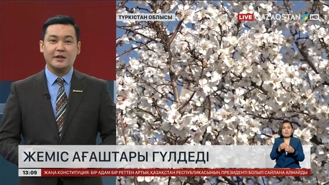 Түркістан облысында жеміс ағаштары гүлдей бастады