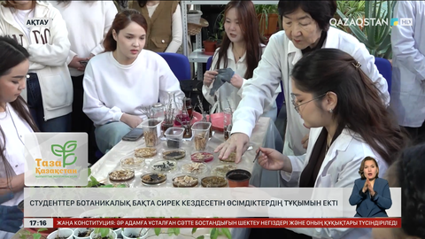 Маңғыстау өңіріне сакура ағашы жерсінуі мүмкін