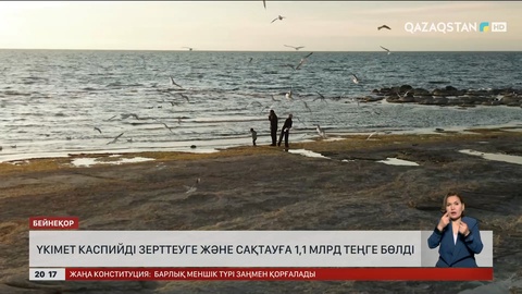 Үкімет Каспийді зерттеуге және сақтауға 1,1 млрд теңге бөлді