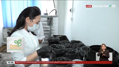 Ақмолалық ғалымдар полигон орнын қайта қалпына келтіру үшін зерттеп жатыр