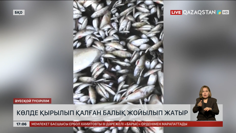 БҚО-да қырылған балықты жоя бастады