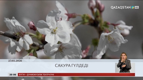 Әлем жаңалықтарына шолу