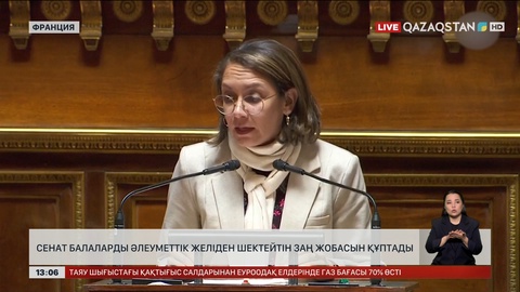 Франция балаларды әлеуметтік желіден шектеді