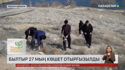 Былтыр Ұлытау облысында  27 мың көшет отырғызылды