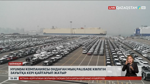 58 мың Hyundai Palisade кері қайтарылды