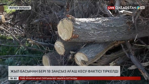 Жетісу облысында жыл басынан бері 18 заңсыз ағаш кесу фактісі тіркелді