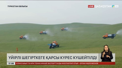 Түркістан облысында шегірткемен күрес күшейтілді