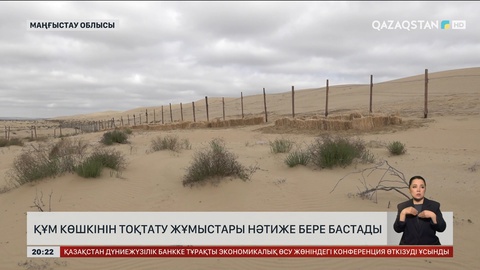 Сенек ауылында құм көшкінін тоқтату үшін 5 мыңға жуық сексеуіл мен жүзген егілді