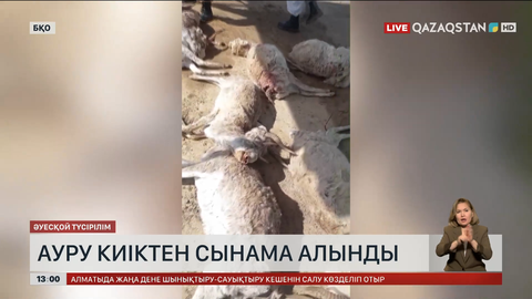 БҚО-да ауру киіктен сынама алынды