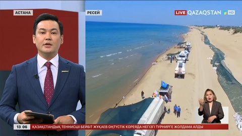 Қара теңізге мазут төгіліп, құстар қырылды