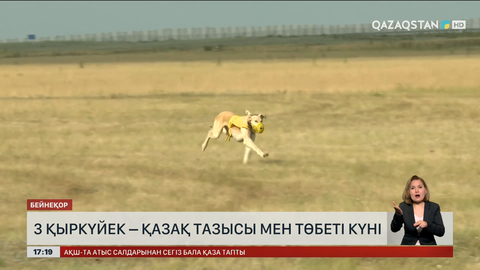 3 қыркүйек – Қазақы тазы мен төбет күні