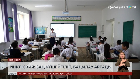 Инклюзиядағы сын: Заң күшейтіліп, бақылау артады 