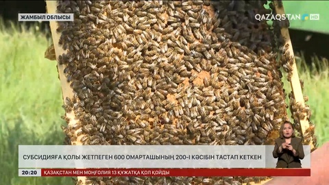 Субсидияға қолы жетпеген 600 омарташының 200-і кәсібін тастап кеткен