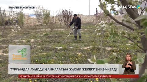 Тұрғындар ауылдың айналасын жасыл желекпен көмкерді